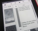 EBook-Reader & Tablet als Buch-Ersatz im Urlaub
